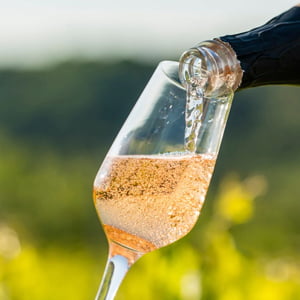 Discover the Best White Sparkling Wines of the Year