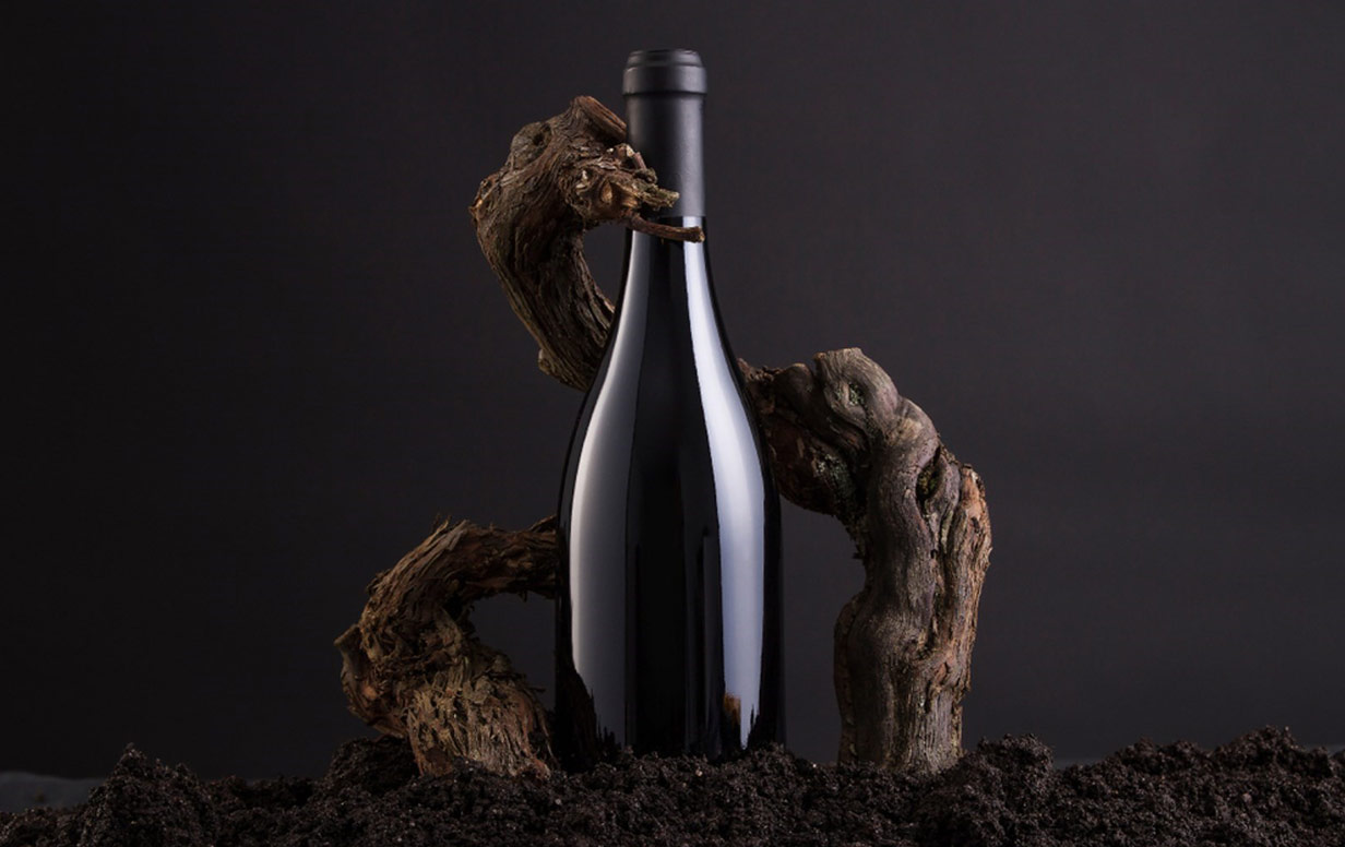 Biodynamic-Wine-Explained