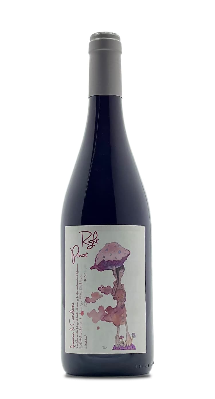 Right Pinot