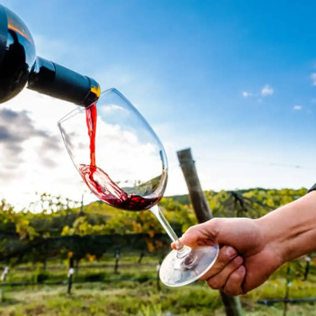 natural vegan wine, vegan wine, organic wine