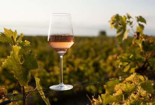 Eco-friendly Wines